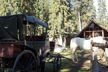 Resort Rustic Beaverfoot Lodge Room N6