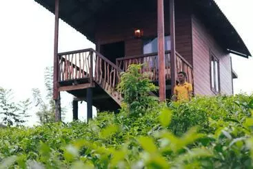 Hotelli Misty Mountain  Sinharaja