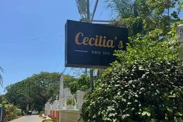 Hotel Cecilia S Inn