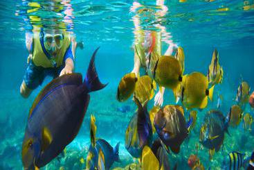 هتل Le Vieux Nice Inn