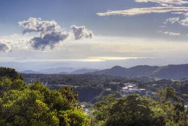 هتل Ocotea Boutique