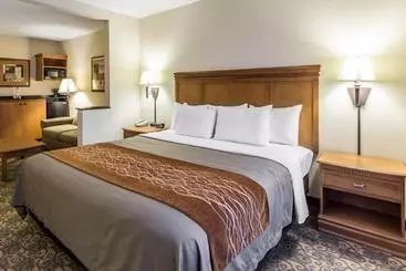 Hotel Comfort Inn & Suites