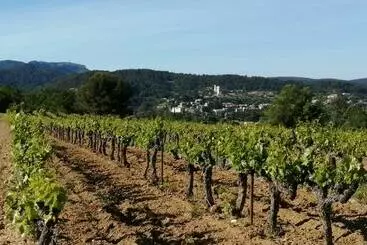 Aamiaismajoitus (B&B) Au Villadior   Vaison La Romaine
