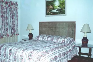 Hotel Olman's View Resort