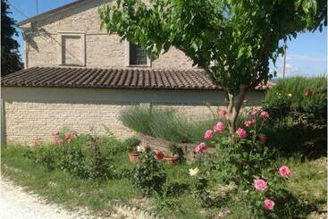 Szálloda All Ombra Degli Ulivi B&b