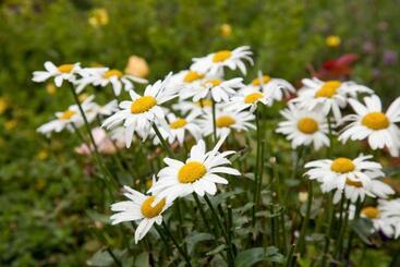 ホテル Berggasthof Ferienbauernhof Habersatt