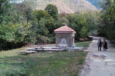 Pensionat Vila Bachkovo