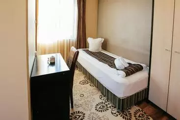 酒店 Pensiunea Vidalis