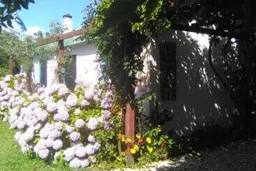 ペンション Casa Buganvilla