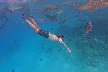 پانسیون Beach Walk Villa Maldives