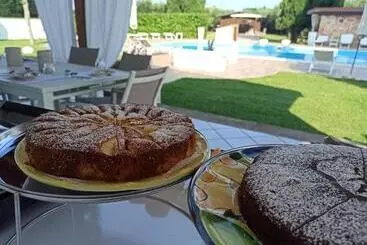 Aamiaismajoitus (B&B) Il Giardino Dei Pini