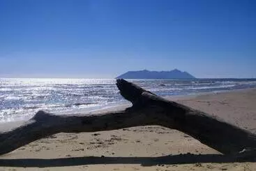 Pensão Casa Mar   B&b
