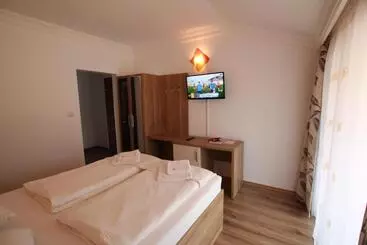 Pensió Vila Maria Băile Felix