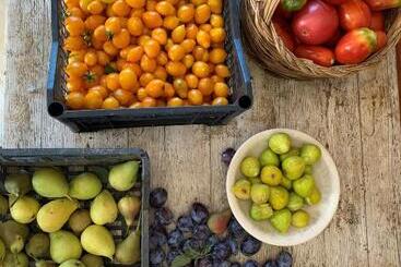 B&b Caput Mundi Calabria