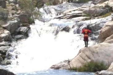 Отель Riverview Lodge