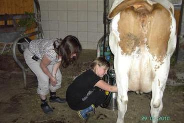 コテージ Bauernhof Pausshof