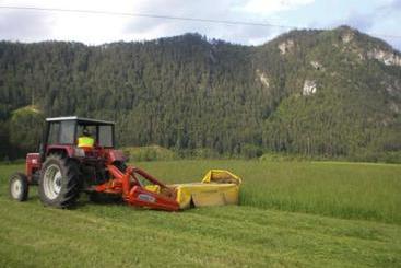 Сельский дом Bauernhof Waldbauer