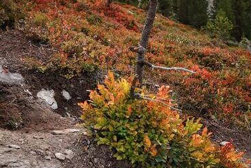 ベッドアンドブレックファースト Appartements Glungezer