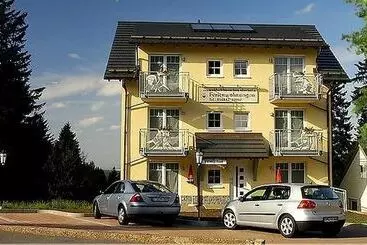 Bed and Breakfast Pension Waldschlösschen
