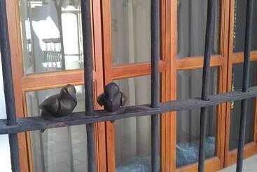 Pensionat Casa De La Asunción