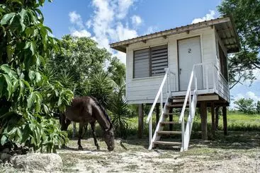 Ostello Backpackers Paradise