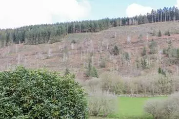 The Little White Cottage