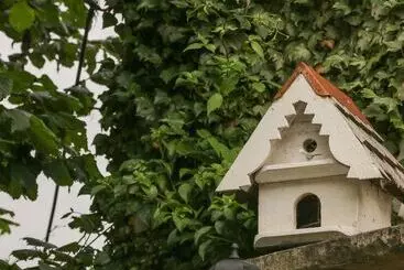 Grange Cottage