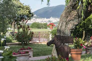 Bed and Breakfast Camere Mariella