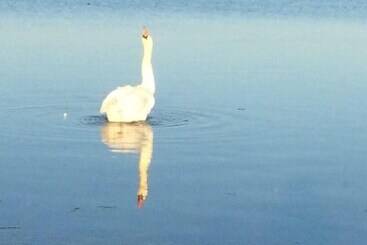 בית מלון כפרי Nakskov Fjord Camping & Cottages