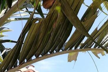 Bed & Breakfast Casa Juana