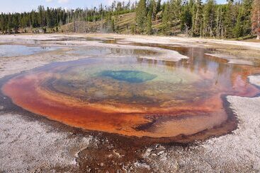 コテージ Grandma S Cabin