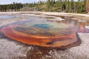 コテージ Grandma S Cabin