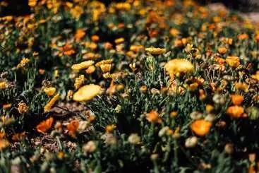 Hotelli Ecolodge La Estancia