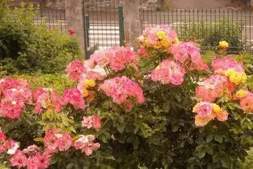Bed and Breakfast Villa Costanza
