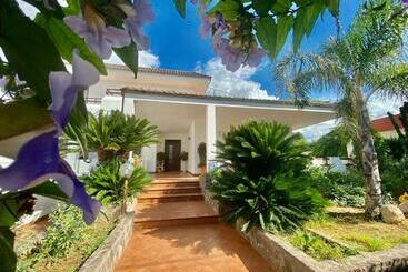 פנסיון The Rosa S Luxury House