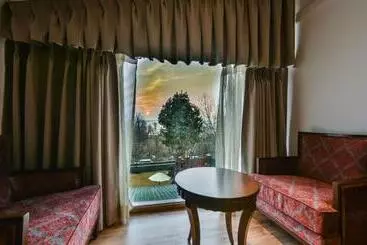 Hotel Metropolis Srinagar