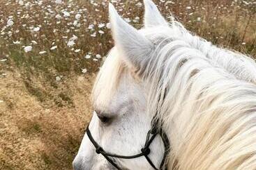 مبيت وإفطار La Grenouillère   Chambre D Hôtes De Charme