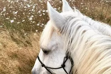 Aamiaismajoitus (B&B) La Grenouillère   Chambre D Hôtes De Charme