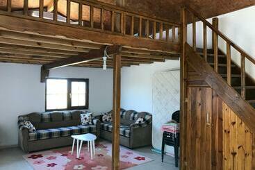 Apartamentos turísticos Guneylide Wifi Li Super Konak