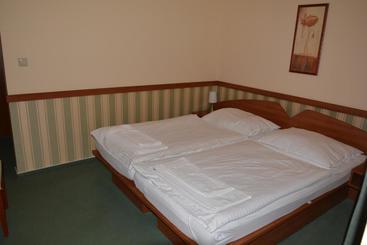 بنسيون Penzion Na Potočnej