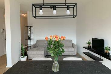 Turist apartmanları City