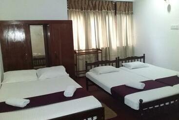 Lazy Bear Best Hostel In Kandy