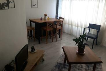 ツーリストアパートメント Cozy Flat With Balcony 3 Bedroom At Taksim Cihangir