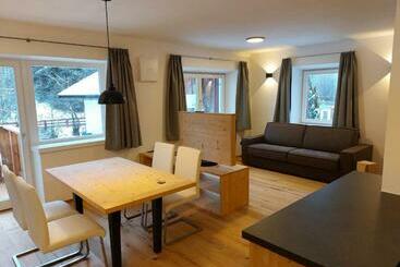 游客公寓 Haus Regina