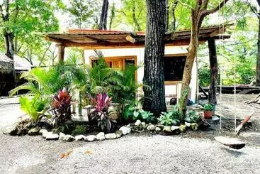 ツーリストアパートメント A Nature Lovers Paradise!   Iona Villas