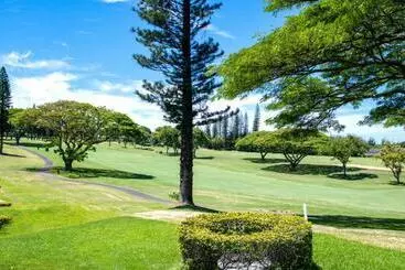 ツーリストアパートメント Kbm Resorts: Kapalua Golf Villa Kgv 14p3 Beautiful Spacious Fairway Views Includes Rental Car