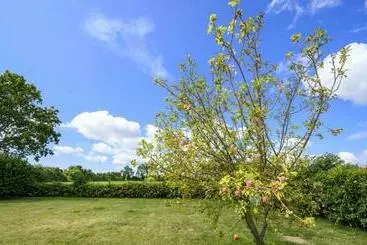ツーリストアパートメント Appledown   Secluded Rural Retreat In Kingsdown, 10 Mins To Beach