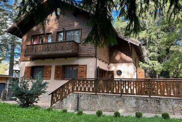 관광객 아파트 Villa Borovets Mountain & Luxury