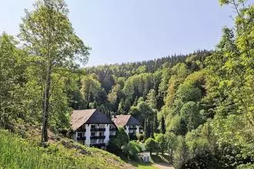 Apartamentos turísticos Ferienwohnung In Triberg Am Waldrand   Idyllisch, Ruhig, Erholsam