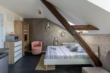 Turistlejligheder L Enthousias Mans   Hyper Centre   3p   Rêve Au Mans